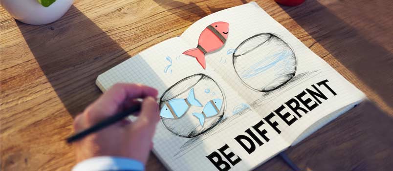 Importance of a Marriage License