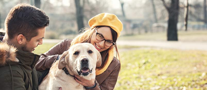can pets ruin relationship
