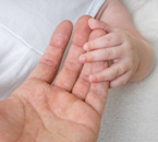 Adoption